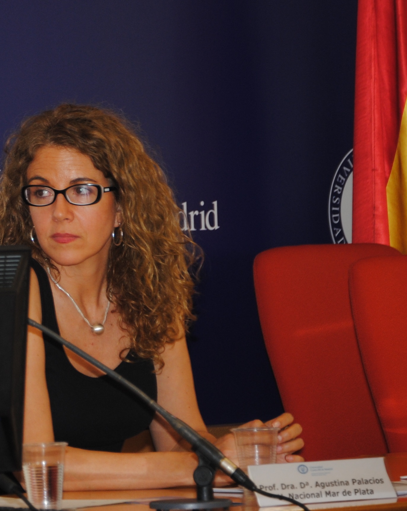 Agustina Palacios (Investigadora del Centro Alicia Moreau, UNiversidad Nacional Mar del Plata Argentina.) 