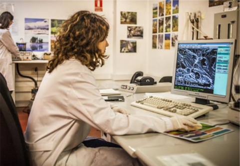 Mujeres y ciencia